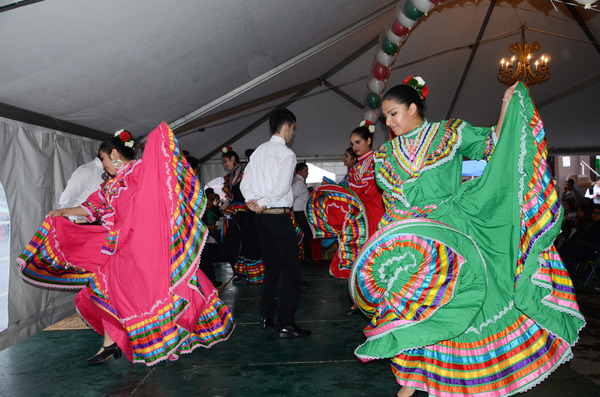 DSC_2181 DSC_2181