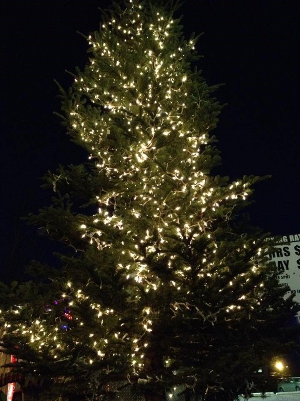 xmastreelights xmastreelights