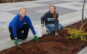 national volunteer day national volunteer day